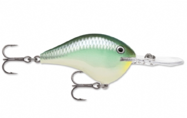 BLUE BACK HERRING